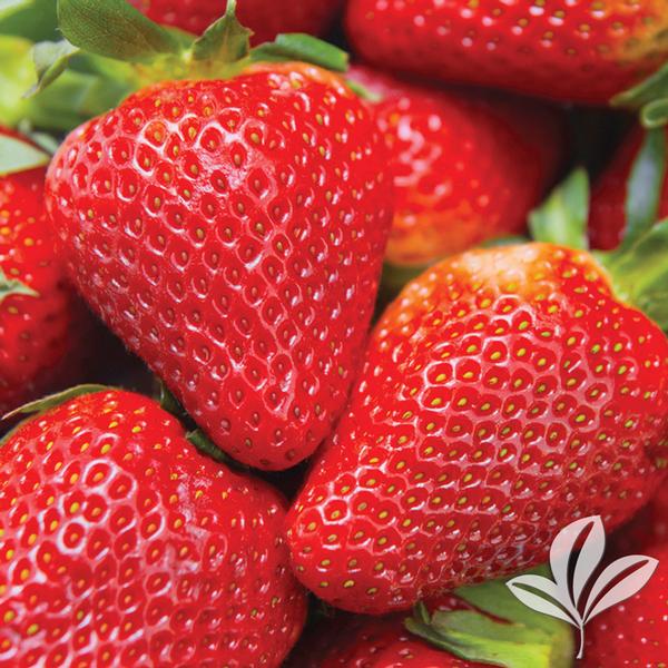Jewel Strawberry